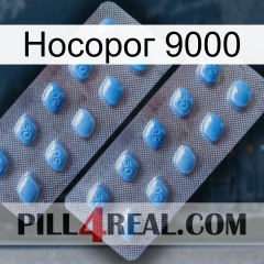 Носорог 9000 viagra4